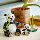 LEGO® Creator 3-in-1 Wild Animals: Panda Family