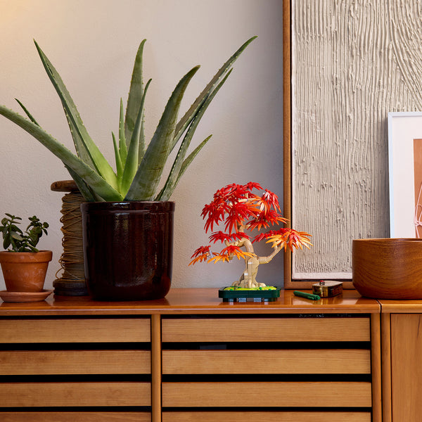 LEGO® Botanicals Japanese Red Maple Bonsai Tree