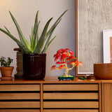 LEGO® Botanicals Japanese Red Maple Bonsai Tree