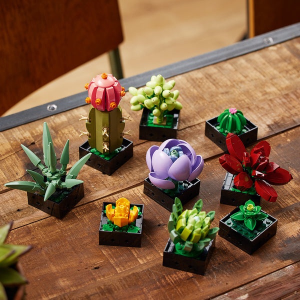 LEGO® Succulents