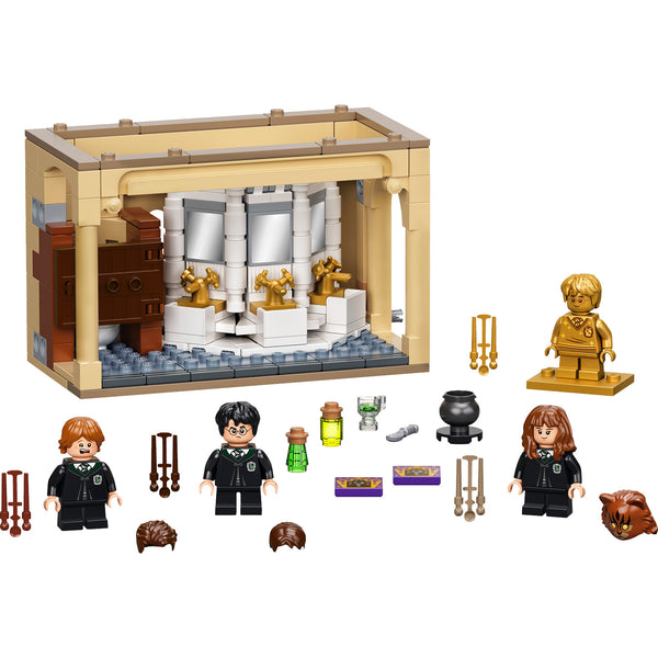 LEGO® Harry Potter Hogwarts™: Polyjuice Potion Mistake
