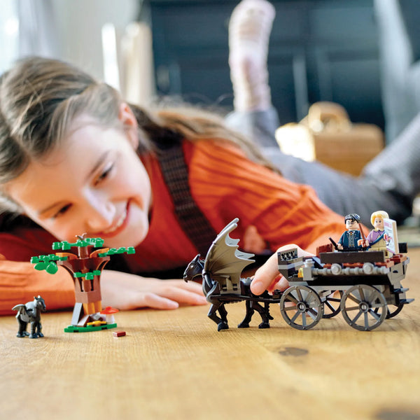 LEGO® Harry Potter™ Hogwarts™ Carriage and Thestrals