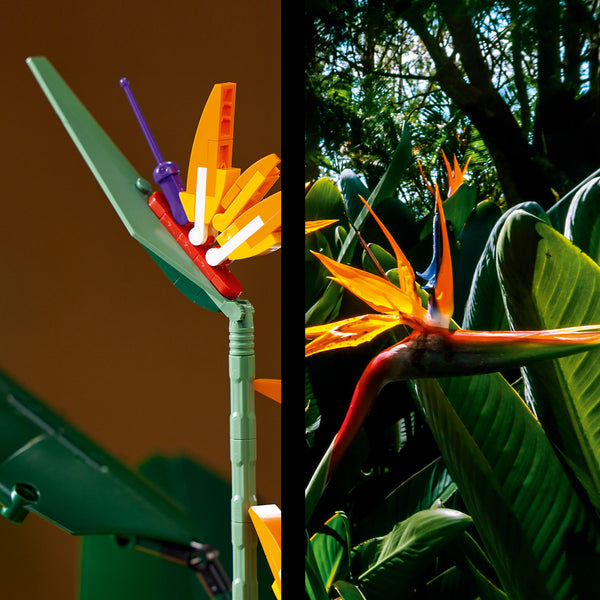 LEGO® Creator Expert Bird of Paradise