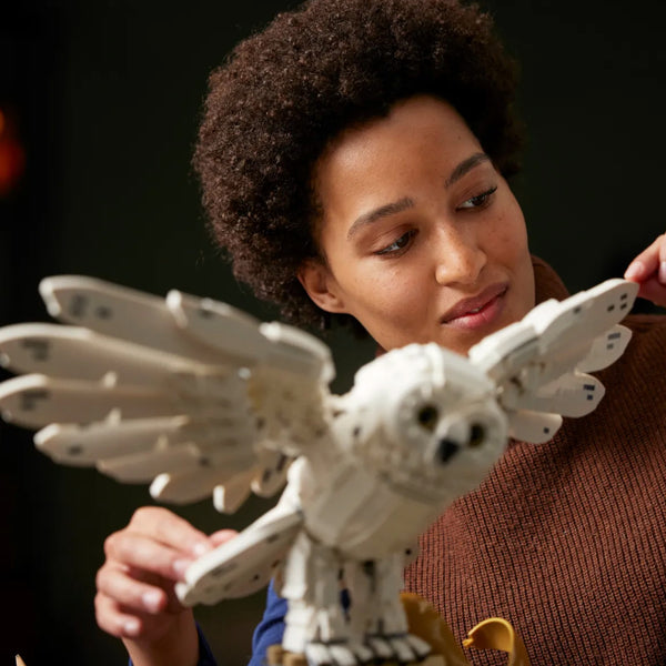 LEGO® Harry Potter™ Hogwarts™ Icons - Collectors Edition