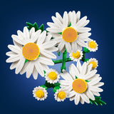 LEGO® Botanicals Daisies