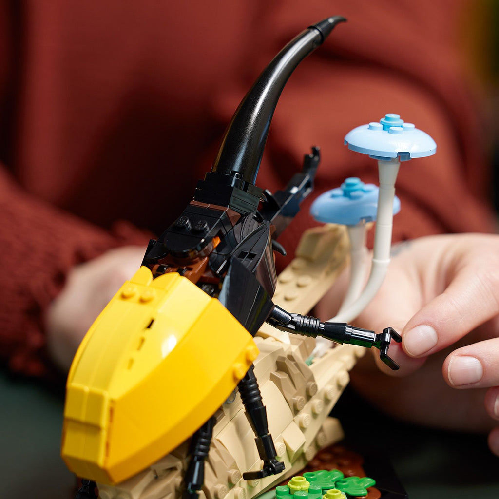 LEGO® Ideas The Insect Collection – AG LEGO® Certified Stores