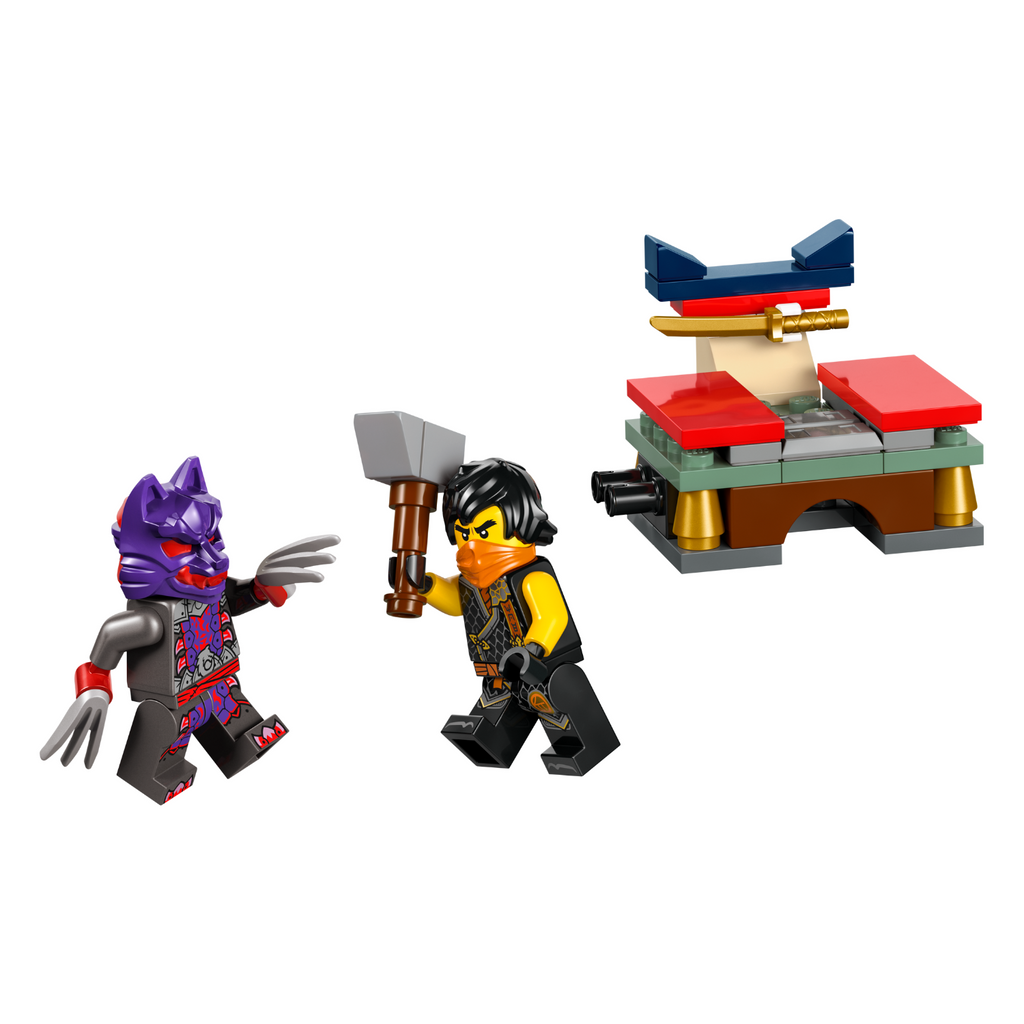 LEGO® NINJAGO® Tournament Training Ground – AG LEGO® Certified Stores