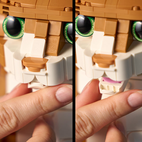 LEGO® Ideas Orange Cat