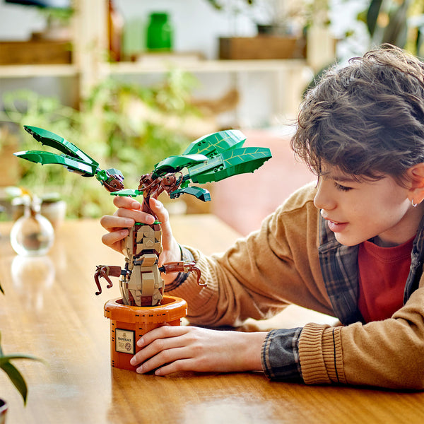 LEGO® Harry Potter™ Mandrake