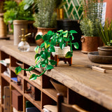 LEGO® Botanicals Hanging Golden Pothos