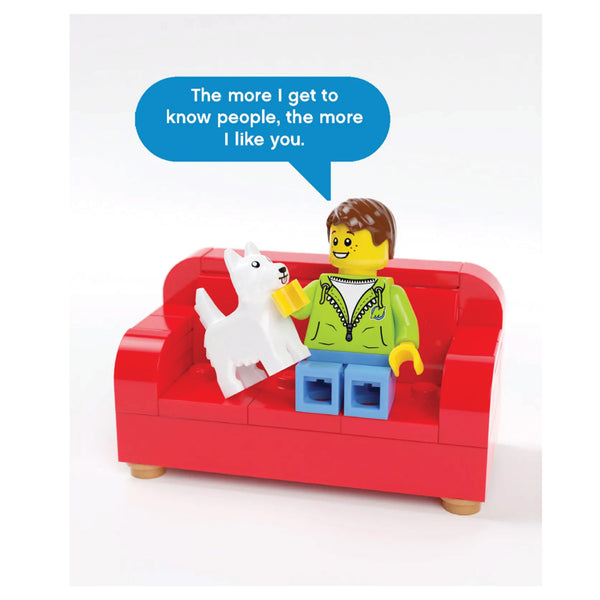 LEGO MINIFIGURE NOTES