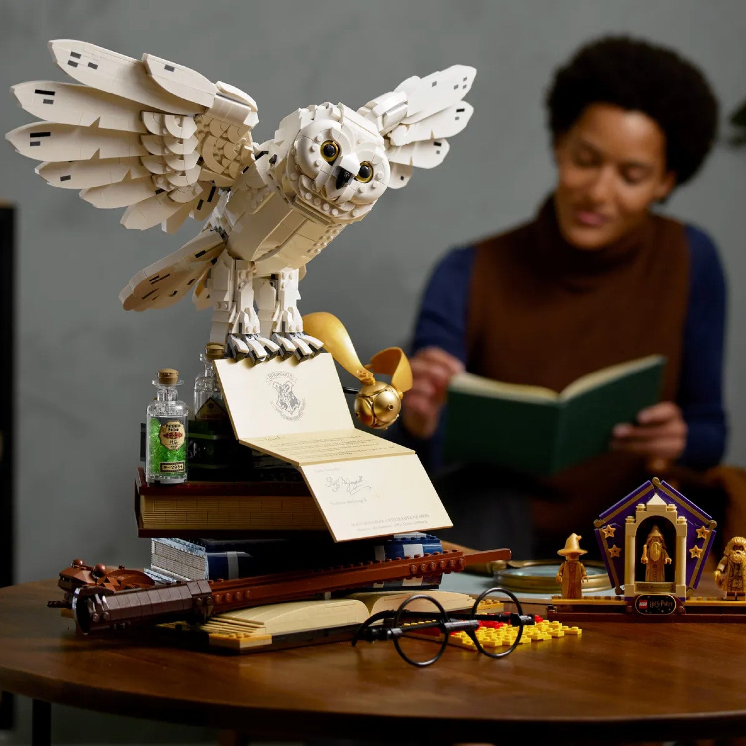 Hedwig harry best sale potter lego