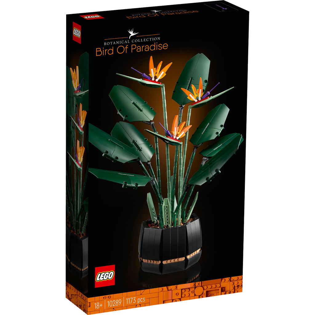 LEGO® Orchid – AG LEGO® Certified Stores